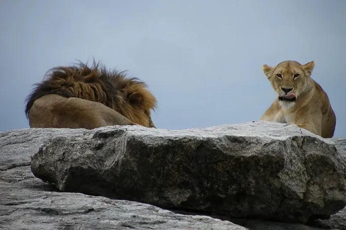 Northern-Tanzania-Great-Wildlife-9-Days