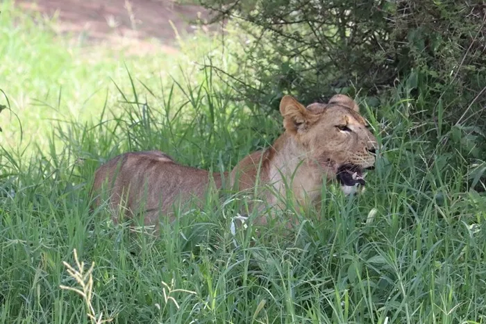 Tarangire, Serengeti & Ngorongoro Crater – 5 Days