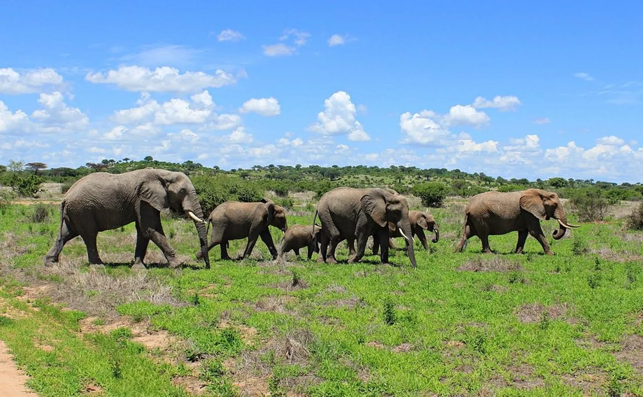Lake Manyara