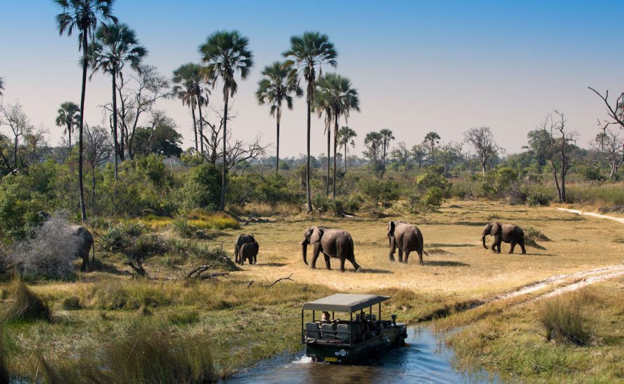 10-days-safari-Nyerere-national-park-and-Zanzibar