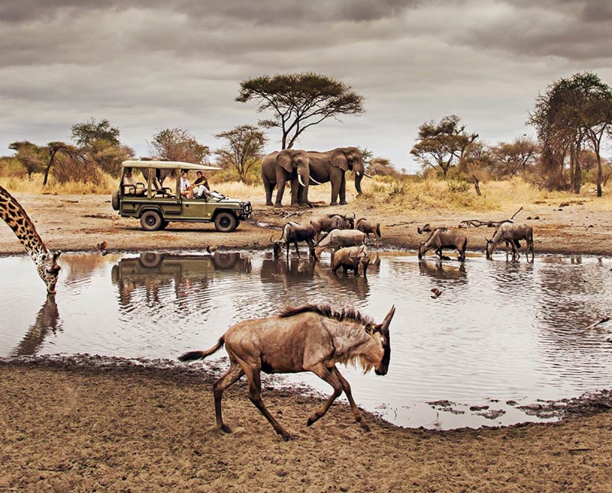 A347-1600x670-little-chemchem-waterhole-game-drive-3