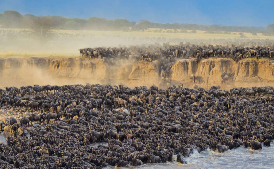 greatmigration