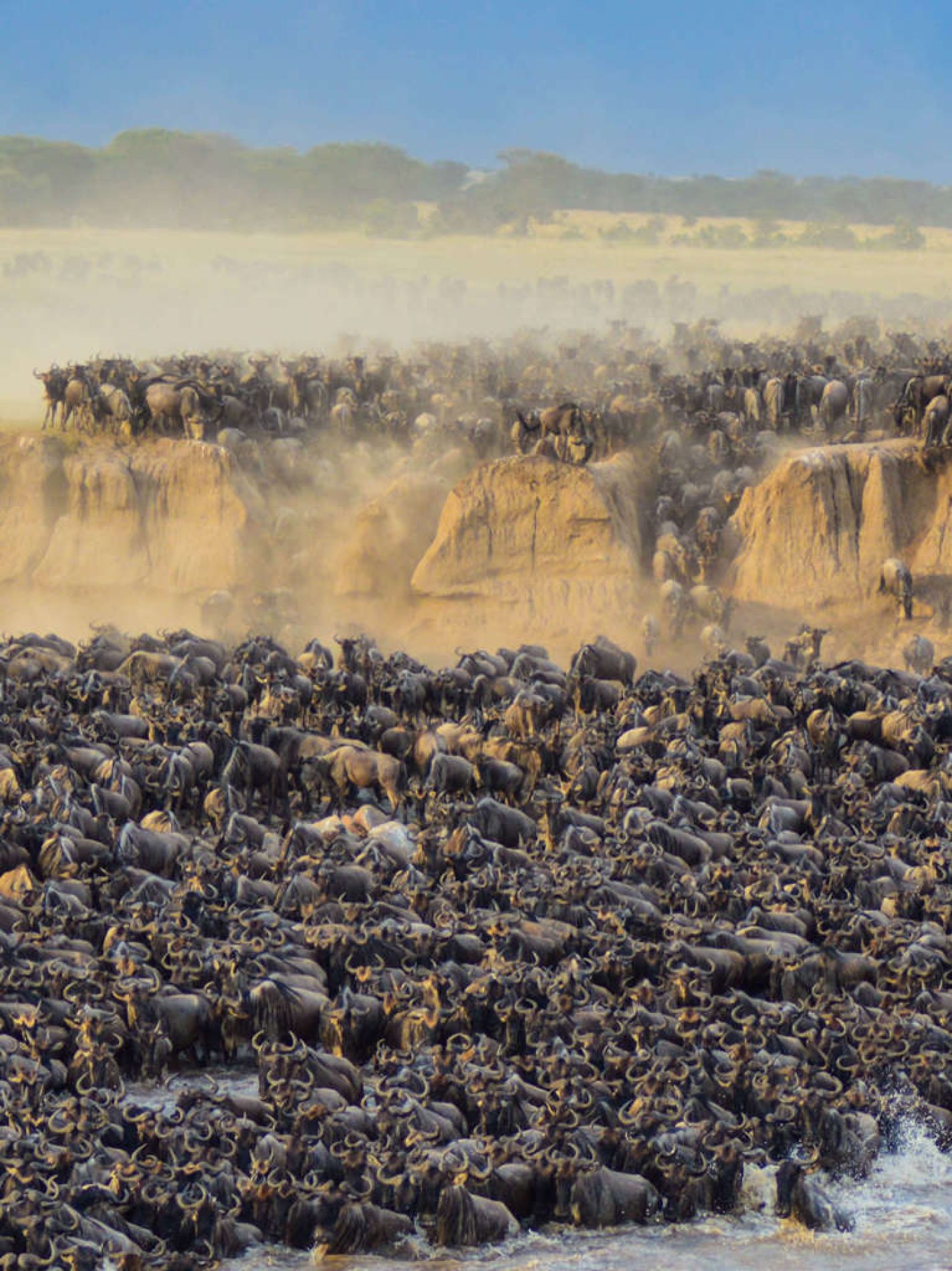 greatmigration